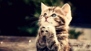 Музыка для выписки из роддома. Новинка просто потряс...