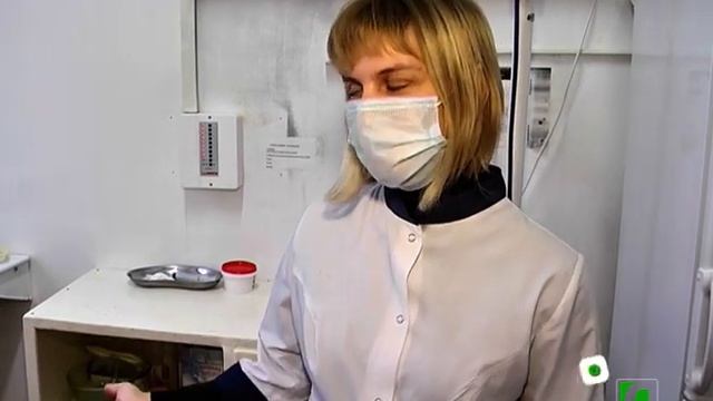 2020 11 28 Ветеринарный врач Г. Мартынова смотреть онлайн