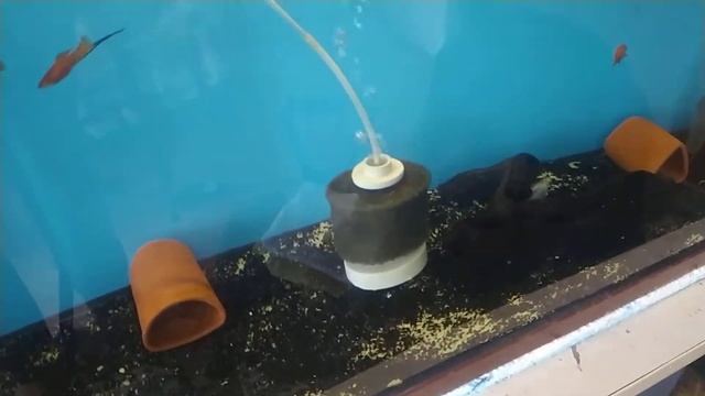 Yeni Hava Motorum - Tetra Aps 300 - Akvaryum Balıkları - Akvaryum Motoru - Tetra