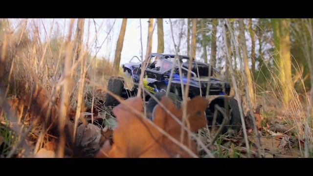2.4G 1/10 4WD Double Bridge Crawler RC Car | RC Káně | Vision4U смотреть онлайн