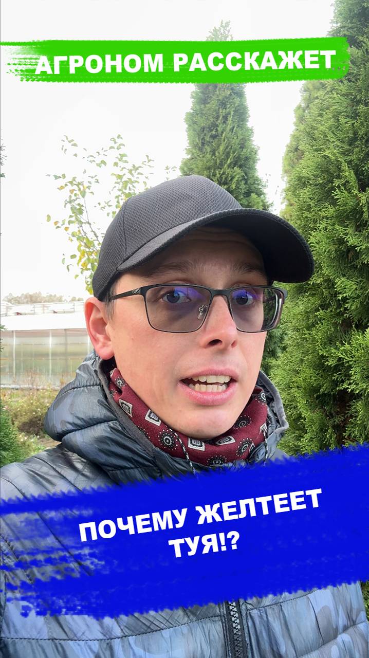 ПОЧЕМУ ЖЕЛТЕЕТ ТУЯ!? смотреть онлайн