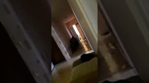 НЕАДЕКВАТНАЯ СОСЕДКА часть 1