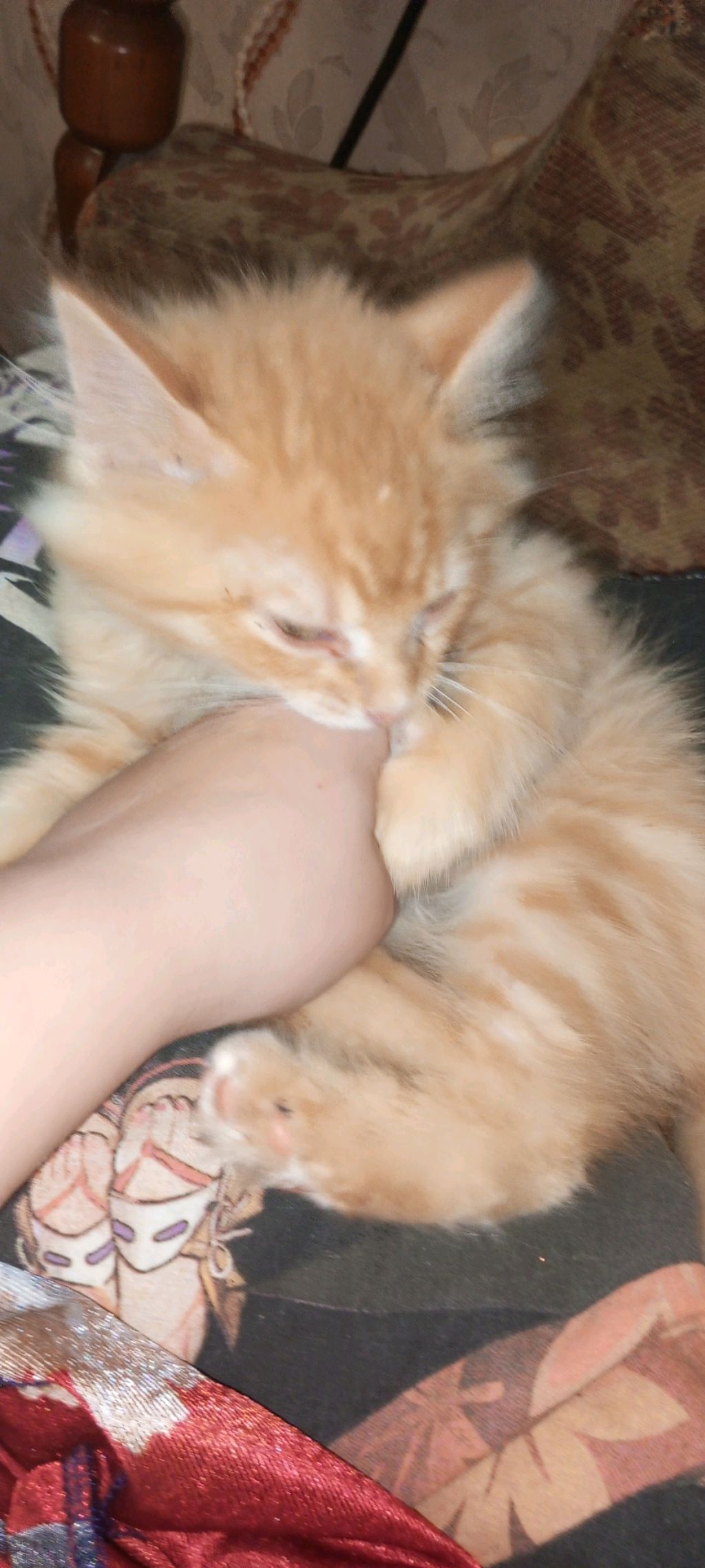 Я учитель я проверяю работы учеников надеюсь вам понравится мой Стрим залетай Я очень надеюсь что те