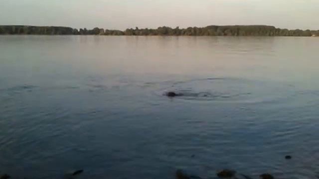 DDB Hogar La Perla Del Paramo and Nancy Nanny Quantum Libet смотреть онлайн