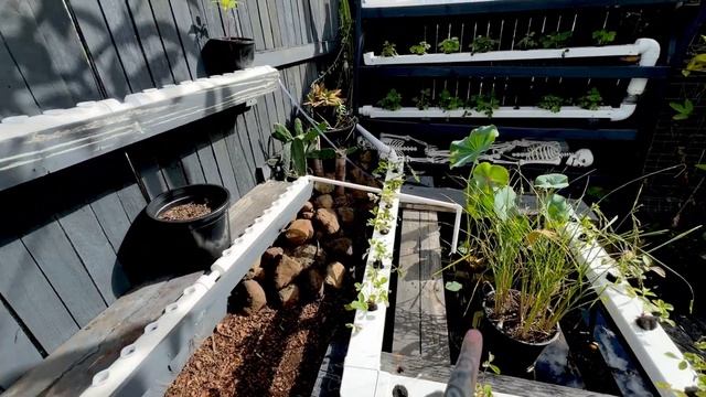 IS THIS THE BEST EBAY HYDROPONIC SYSTEM? смотреть онлайн
