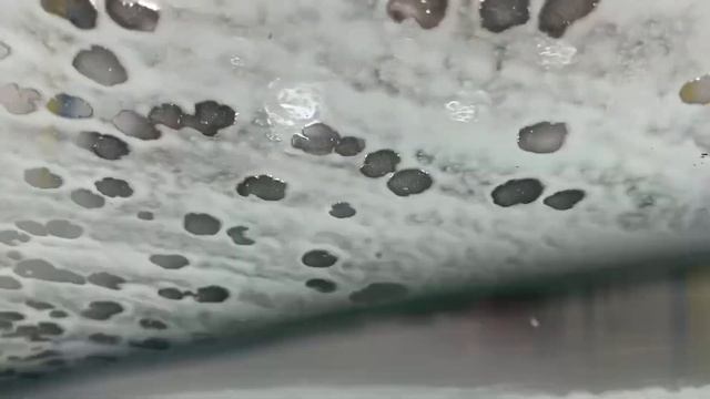 Paradise Car Wash - Apple Valley - Featuring Ceramic Sealant from AAP смотреть онлайн