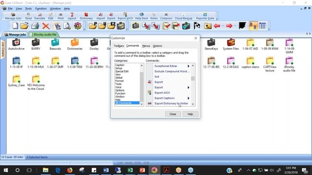 Steno Savvy: Customize the look of Case CATalyst смотреть онлайн