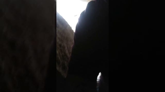 Secret hidden underground bunker at Horseman Center Apple Valley California смотреть онлайн