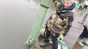 сравнение леска шнур на донной снасти