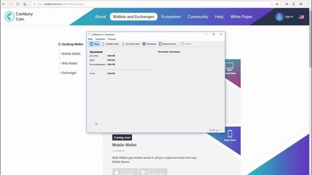 CashBeryCoin (CBC) wallet смотреть онлайн