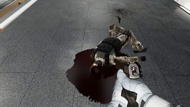 Trepang2 - Gore and Active Ragdolls смотреть онлайн