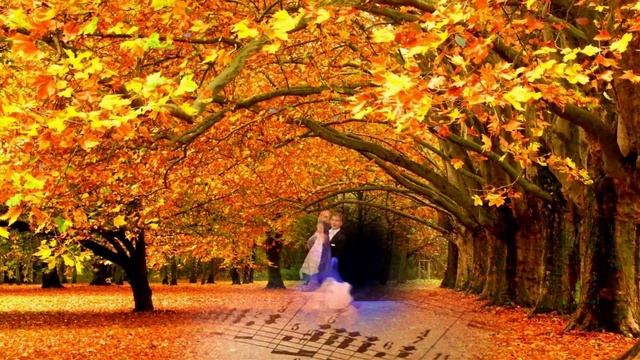 футаж осень 1