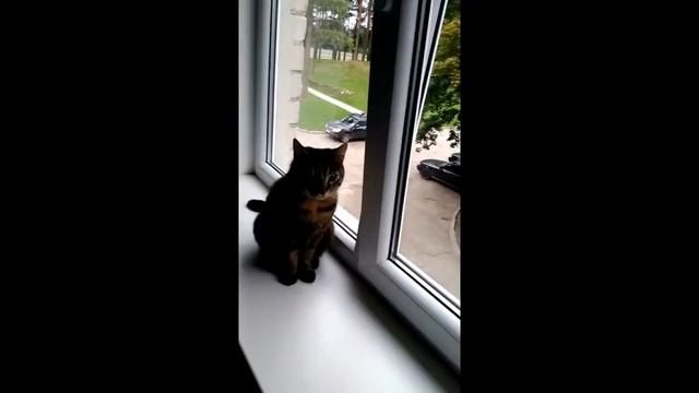 Фёкла.Понедельник! смотреть онлайн