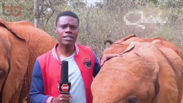 Evde Kimse Yokken İzleyin!! Canlı Yayın Kamerasının Kapandığını Düşünen Kadın Spiker Bunu Yaptı..