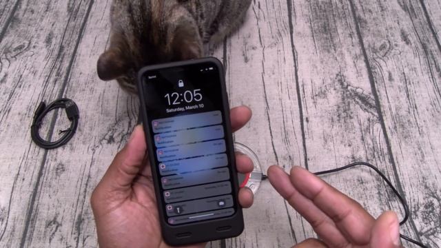 ZeroLemon 4000Mah Extended Battery Case For iPhone X With Qi Wireless Charging смотреть онлайн