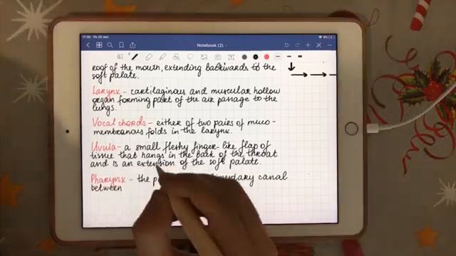 How I take notes on iPad in GoodNotes 5 | IPad note taking | study with me | taking notes on iPad смотреть онлайн