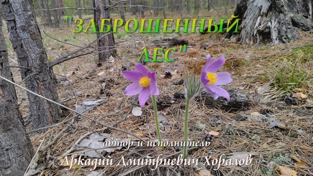 "Заброшенный лес"