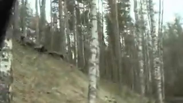 NIVA подъём на холм 3 смотреть онлайн