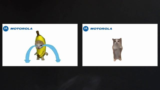 Banana Cat Crying VS Happy Happy Happy Cat But Famous Phone Ringtones