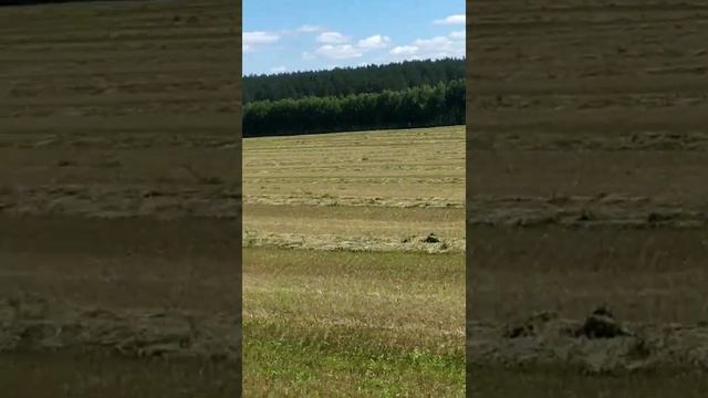 Jaguar 850,870,950 смотреть онлайн