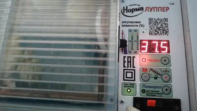 Краткий обзор на инкубатор Блиц Норма Луппер. смотреть онлайн