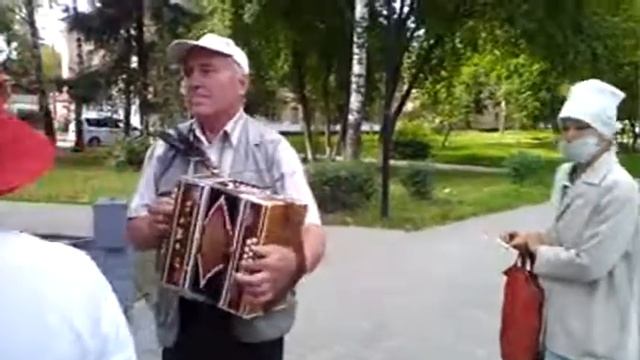 Прохожая№ 1. Александр Радионов. г. Йошкар Ола. Пятачок гармонистов. смотреть онлайн
