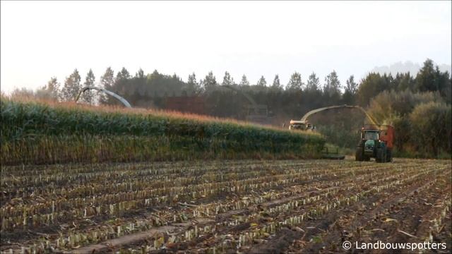 Krone Big X 1000 en Claas Jaguar 900 - 22 rijen - Mais hakselen 2013 - Van Holderbeke uit Zomergem смотреть онлайн