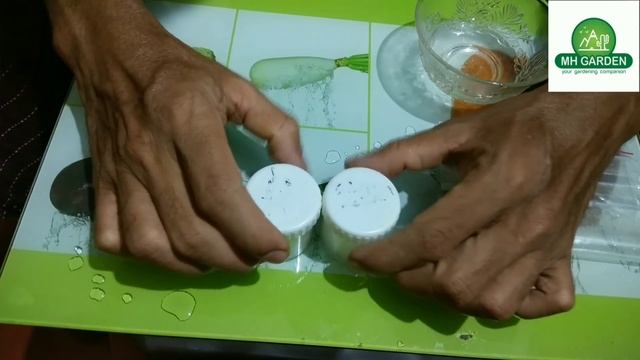 ആപ്പിൾ തൈ വളരെ എളുപ്പത്തിൽ മുളപ്പിച്ചെടുക്കാം.how to grow apple tree from seeds смотреть онлайн