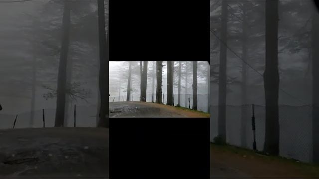 patnitop| june के महीने में ऐसा मौसम कहीं नहीं देखा होगा|patnitop city tour #patnitop #travelbandit смотреть онлайн