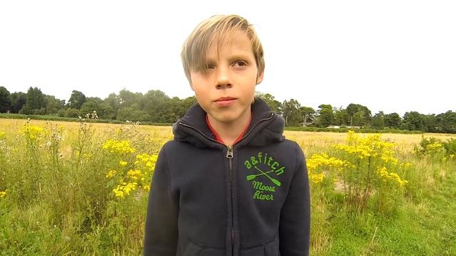 Sour Sweet Challenge [Toxic Waste] [#2] [2015] [1080p 60FPS] смотреть онлайн