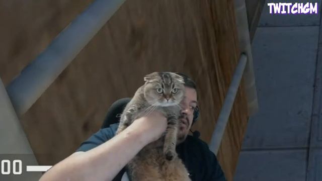 Игровые Моменты с Twitch | stanislaw9 руинит игру | Stray228 показал Тинкера | Хесус сгорел | Твич смотреть онлайн