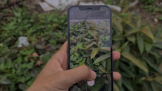 Saatnya Beli Seken iphone 12 Pro Harga udah Murah!! Review & Unboxing ! смотреть онлайн