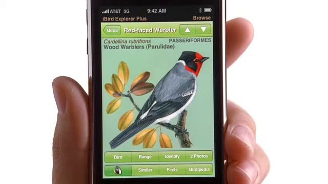 Apple iPhone 3G: Itchy смотреть онлайн