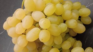 Кишмиш Рататуй