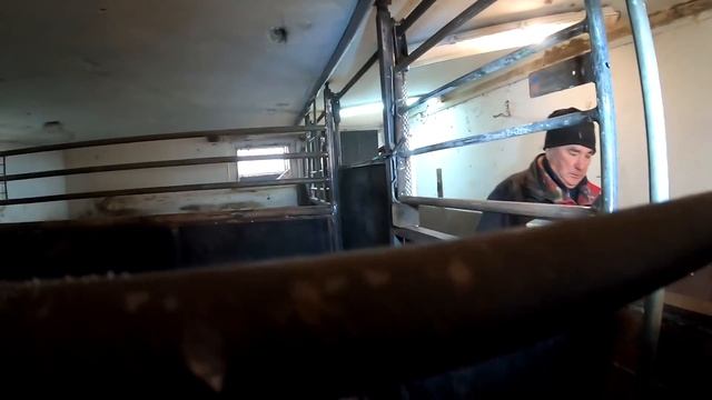 Pług Krone Mustang 100/3 - Co dziadek robi w stajni ? смотреть онлайн
