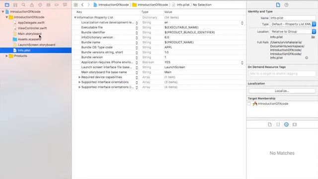 Overview of Xcode in Swift (Hindi) смотреть онлайн