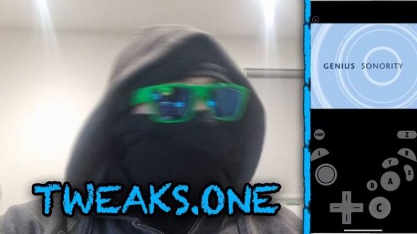 Dolphin Emulator iOS 17 - Do GameCube & Wii Games Work? [DolphiniOS Review 2023]