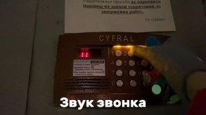 Звуки домофона Cyfral CCD 2094 @ микрорайон Павлино, 11, Балашиха Россия.
