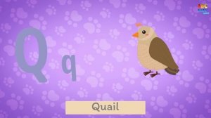 ABC Song | Learn Alphabet Song | ABC Baby Songs