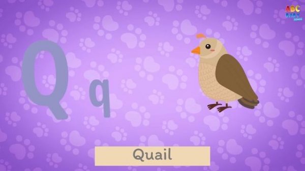 ABC Song | Learn Alphabet Song | ABC Baby Songs