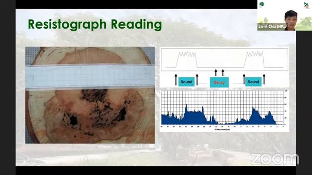 NParks OneMillionTrees Webinar | Scaling new heights: A day in the life of an arborist смотреть онлайн