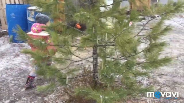 Сегодня 26 мая у нас идёт снег ❄️ смотреть онлайн