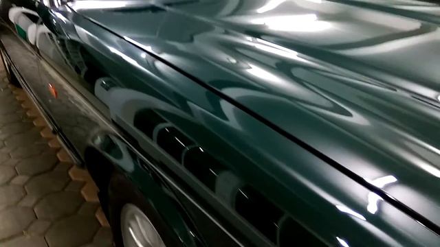 Jaguar X300 British Racing Green Restorative Polish смотреть онлайн