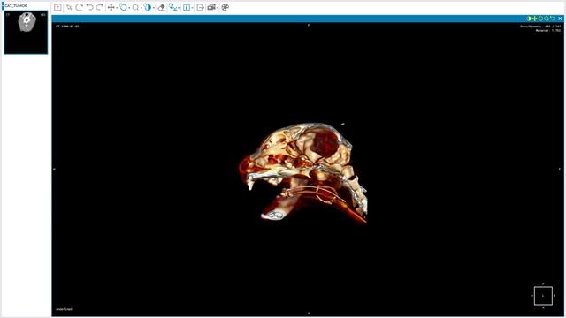 Inobitec Web DICOM Viewer overview смотреть онлайн