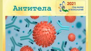 Что такое иммунитет?