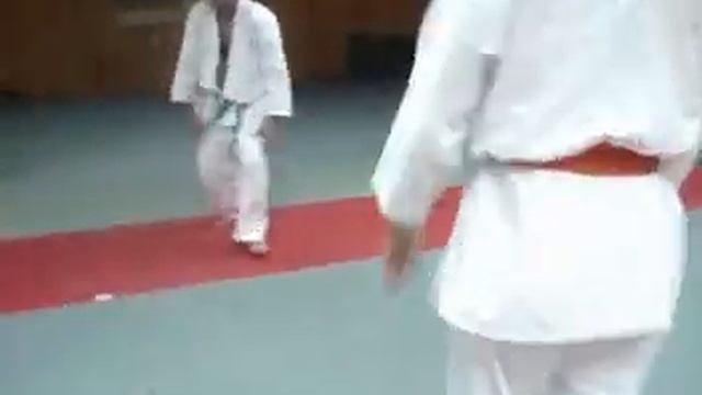 Burhan Felek Aikido 043 смотреть онлайн