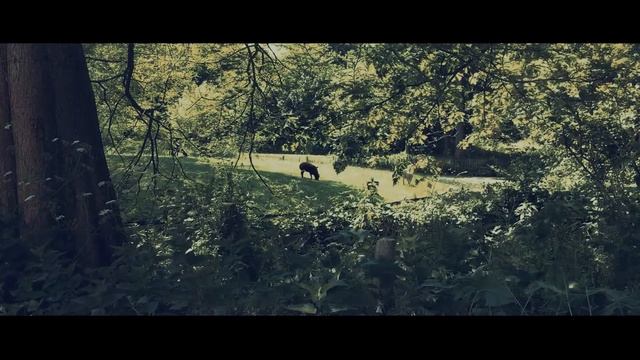 Spring Park II, Mavis app , Iphone 6s plus , Zhiyun gimbal смотреть онлайн
