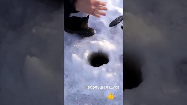 Решили заскочить на часок поставить жерлицы, удалось поймать одну Щуку! смотреть онлайн