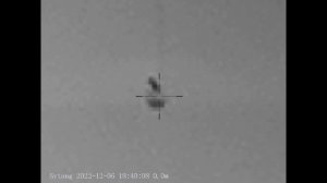 ОХОТА НА ЛИСИЦУ С ПОДХОДА с тепловизором sytong