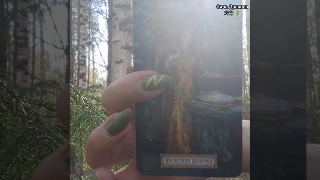 🔔📨Послание для Вас от Духов Леса 🌲🌳🌲🕊 смотреть онлайн